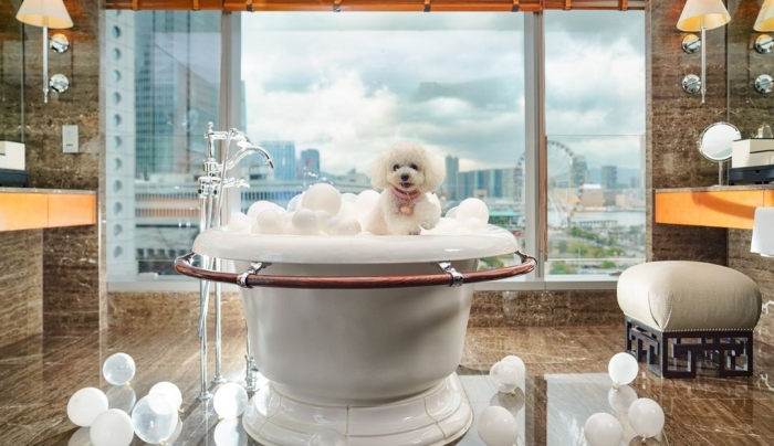  Staycation 打卡_酒店泳池_浴缸酒店